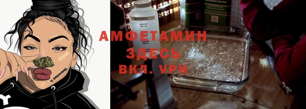 прущие грибы Балахна