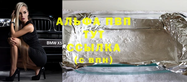 прущие грибы Балахна