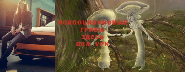 прущие грибы Балахна
